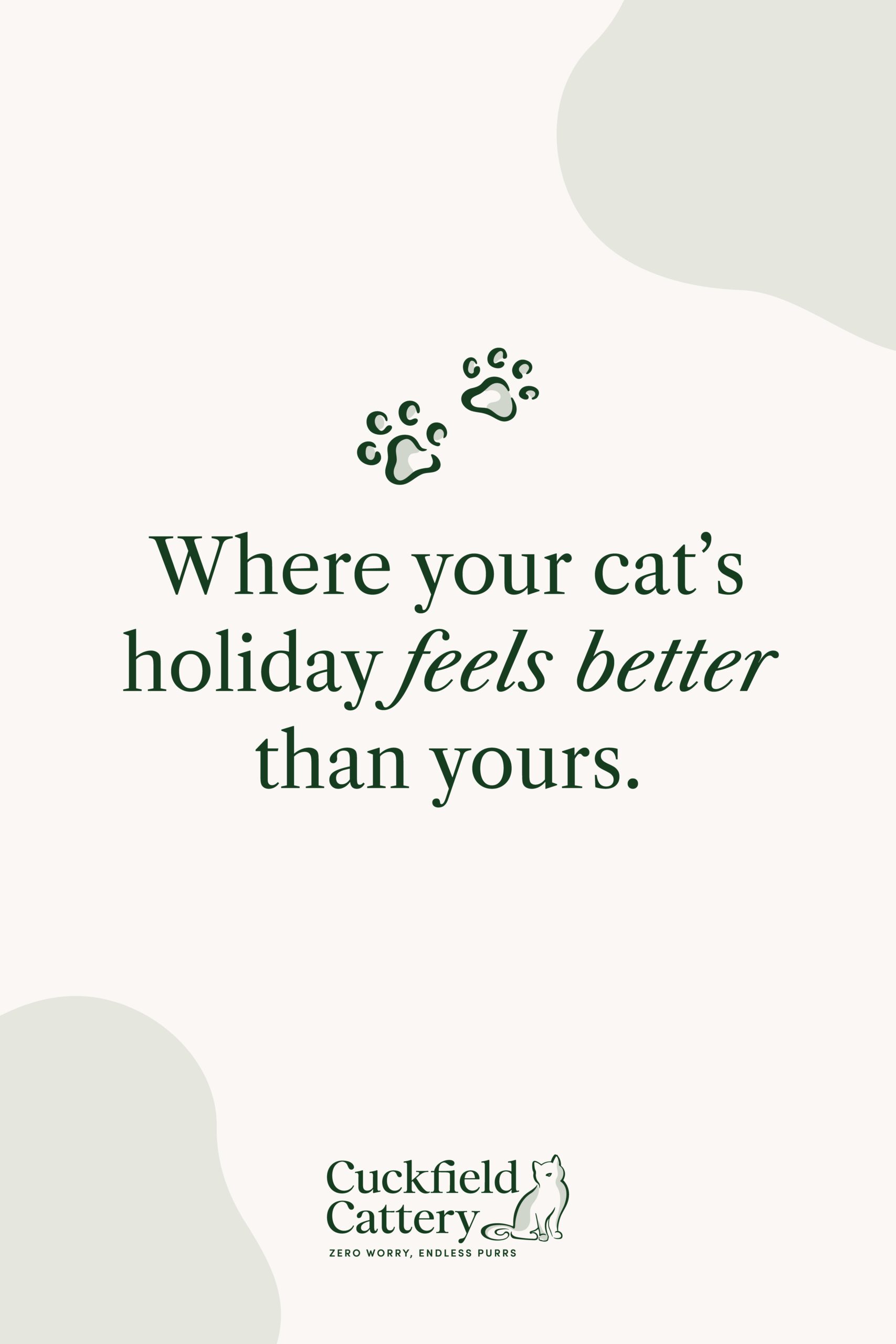 example of brand assets used in social media post for cattery