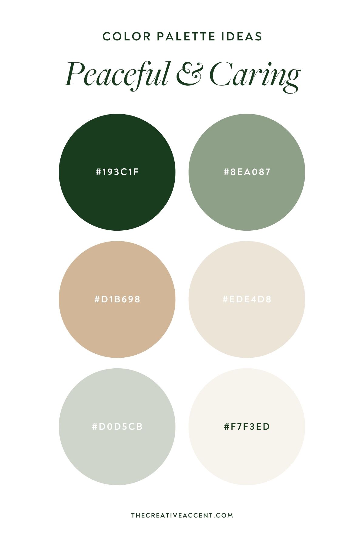 peaceful and caring brand color palette for cattery