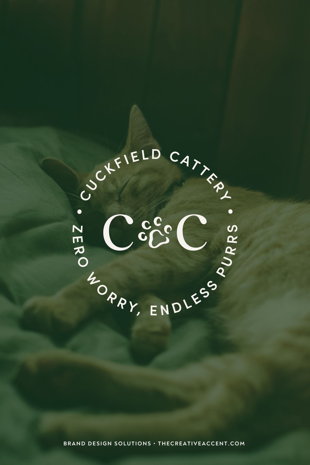 Cattery monogram logo design
