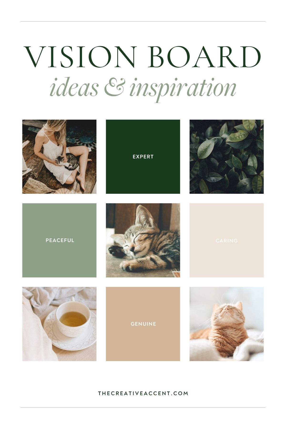 moodboard and creative direction for Cuckfield Cattery logo design and rebranding