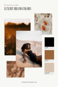 How to choose brand colors & inspiring color palette ideas - The ...